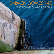 A 1000 Shades Of Blue by Carmen Gomes Inc.