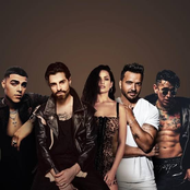 Alok, Luis Fonsi, Lunay