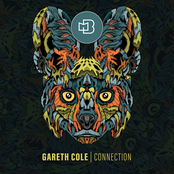 Connection