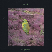 Lagoon Album Picture
