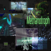 Methanotroph