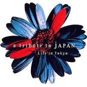 Life in Tokyo: a tribute to JAPAN
