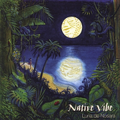 Native Vibe: Luna de Nosara