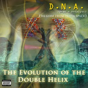 dna (drac n analyst)