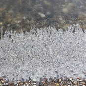 By the Frozen Pond/ Stardust