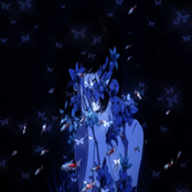 b 1 3 3 d butt3rflyy