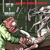 Immoral Experimentation