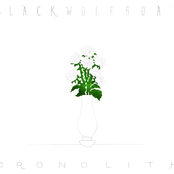 Dronolith