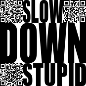 Slow Down Stupid