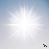 Marie Celeste: Tout ce qui brille