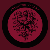 predator valerie