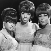 the marvelettes