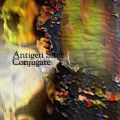 Black Market Organ by Antigen Shift