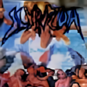 Signs from the Erratic Past