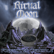 Forgotten Crucible (SINGLE)