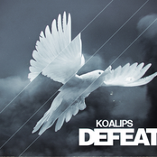 Defeat by Koalips