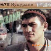 Гимн by Тимур Муцураев