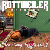 Fleas Naughty Dog Vol. 7