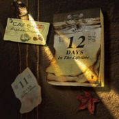 12 Days In The Lifetime