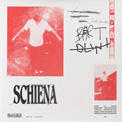 Schiena