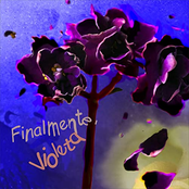 Finalmente, Violeta