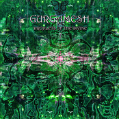 Droplets Of The Divine