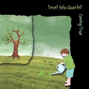 Tevet Sela Quartet - 'Coming True'