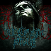 The Compliance Process