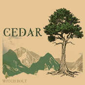 Cedar