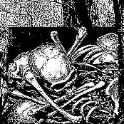 Bastard of Majesty Sin / Howling Nightwinds