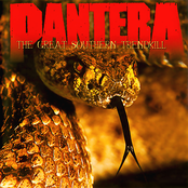 Pantera: The Great Southern Trendkill