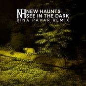 See in the Dark (RINA PAVAR Remix)
