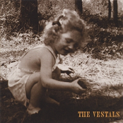 Too Late To Say Goodbye by The Vestals