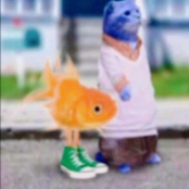 楚女