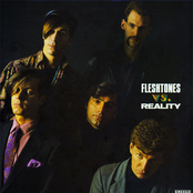 Way Down South by The Fleshtones