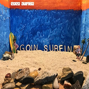 Goin' Surfin'