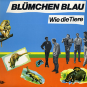 blümchen blau