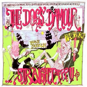 Cardboard Town by The Dogs D'amour