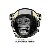 Nonsense (Dubversive Remix)