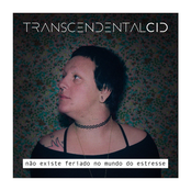 Não Existe Feriado no Mundo do Estresse