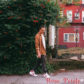 Rose Petals