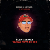 Blunt de Uva - Várias Nota de 200