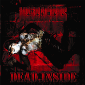 Divider by Mordacious