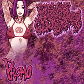 Elephant Cock Shemale promo