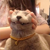 International Dream Pop Shoegaze Compilation Vol 1