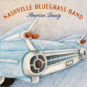 Just Like A Fiddle by The Nashville Bluegrass Band