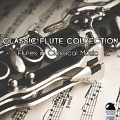 Classic Flute Collection: Flutes in Classical Music