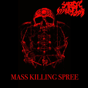Mass killing spree
