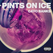 Pints On Ice