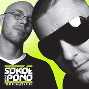 Boją Się by Sokół Feat. Pono